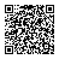 QR code for https://support.sophistex.com/sap-plm/remarks/